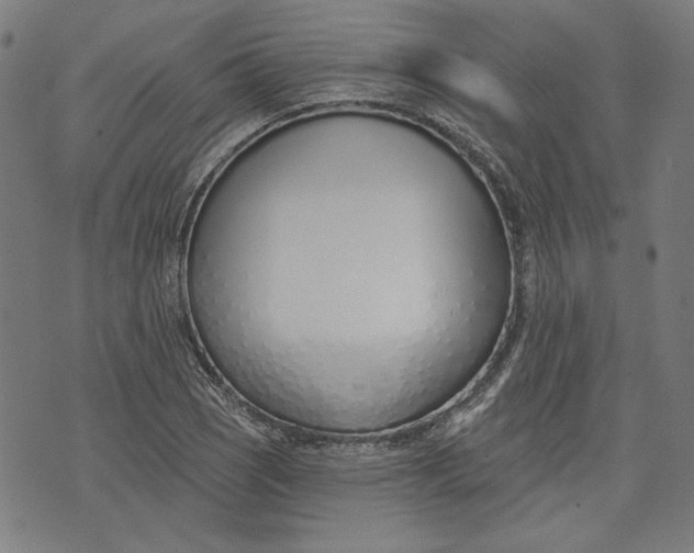 X0000073991121200609111526