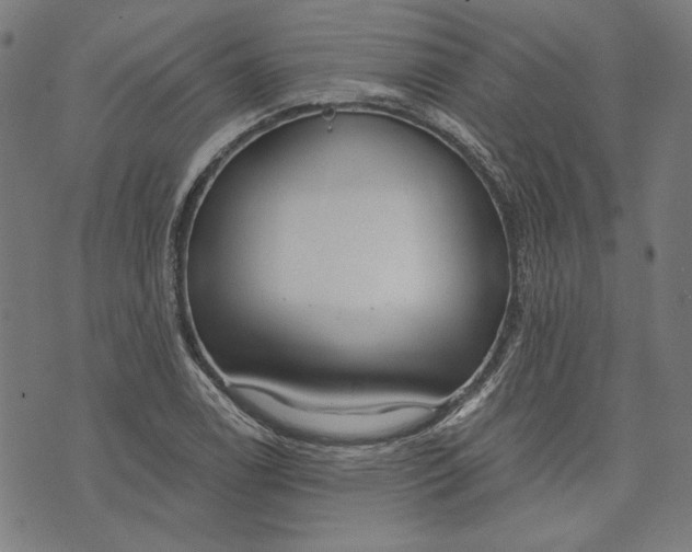 X0000073991122200609111526