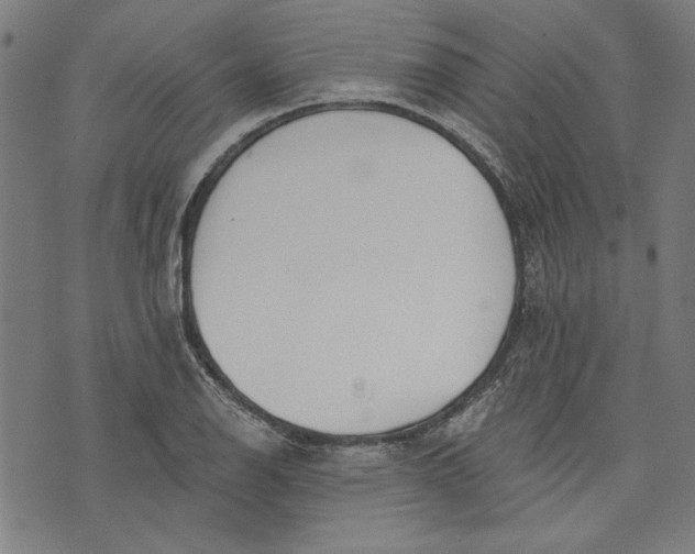 X0000073991126200609111526