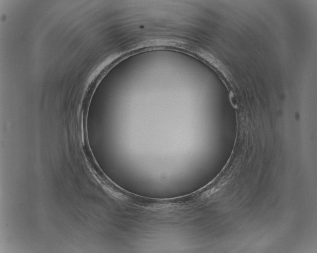 X0000073991127200609111526