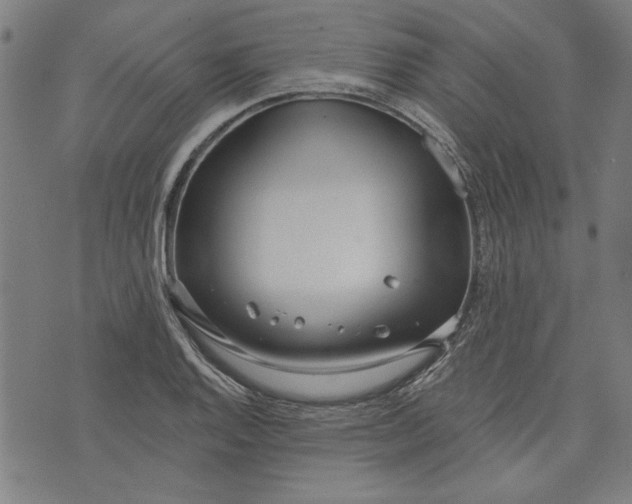 X0000073991128200609111526