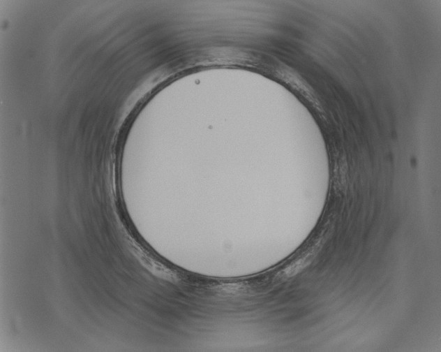 X0000073991130200609111526