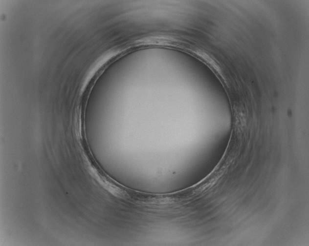 X0000073991131200609111526