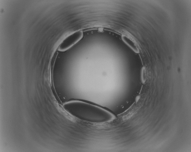 X0000073991132200609111526