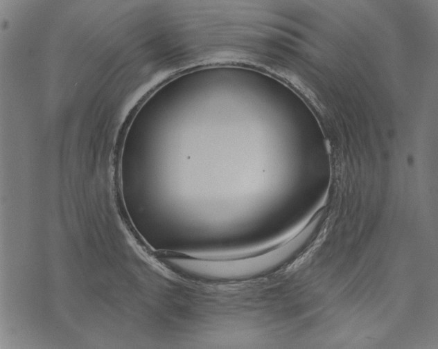 X0000073991134200609111526