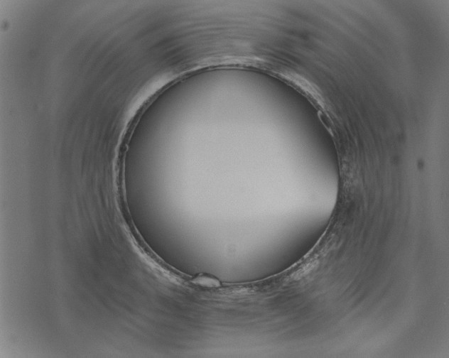 X0000073991135200609111526