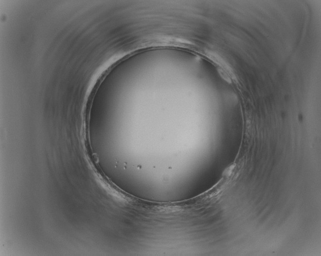 X0000073991136200609111526