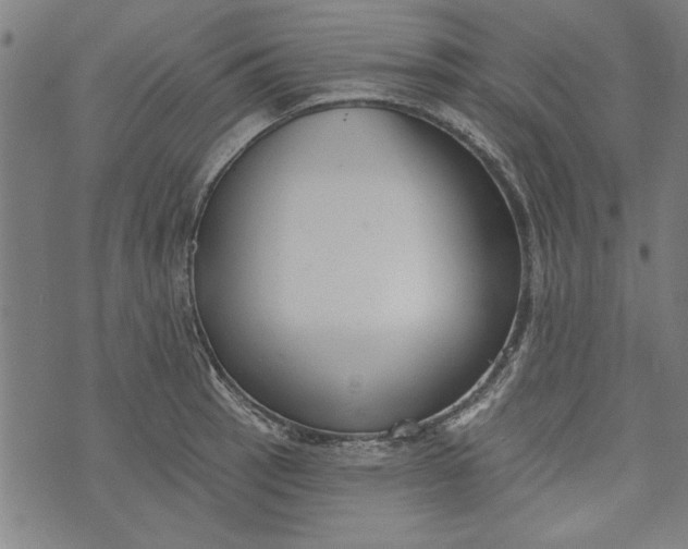 X0000073991137200609111526