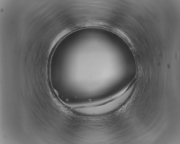 X0000073991138200609111526