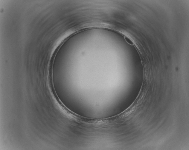 X0000073991139200609111526