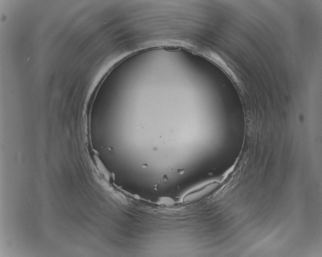 X0000073991140200609111526