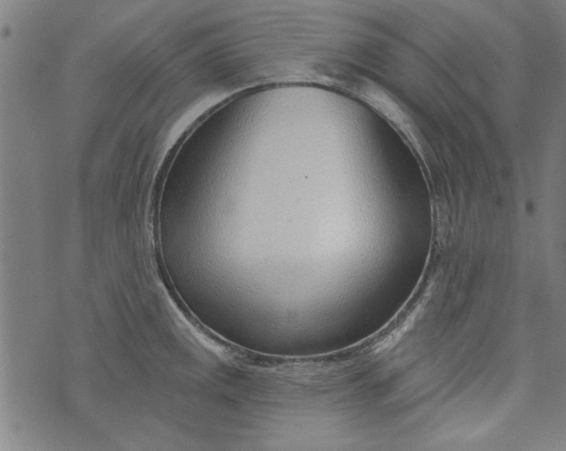 X0000073991141200609111526