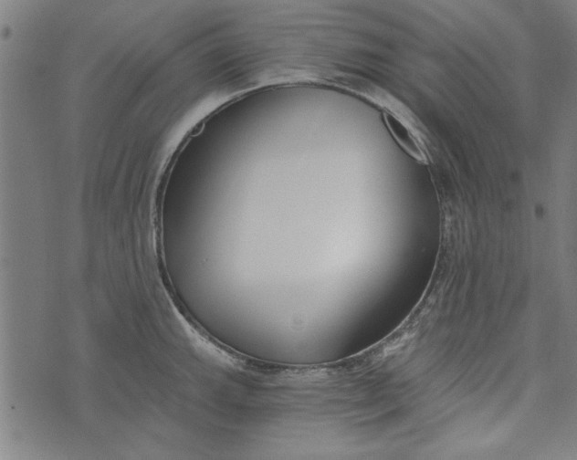 X0000073991143200609111527