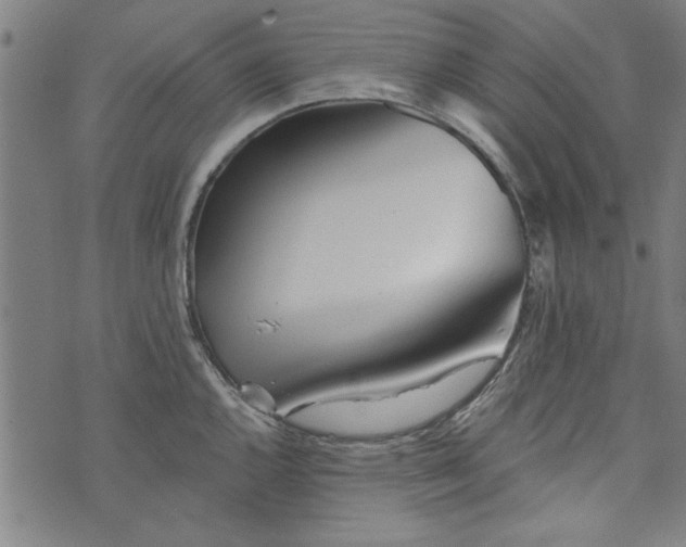 X0000073991144200609111527