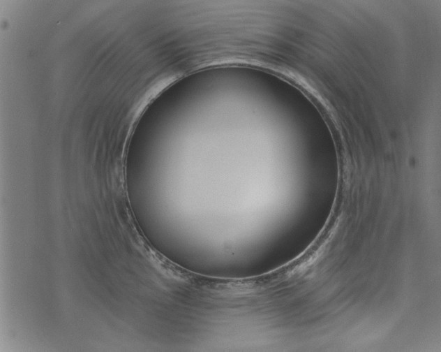 X0000073991145200609111527