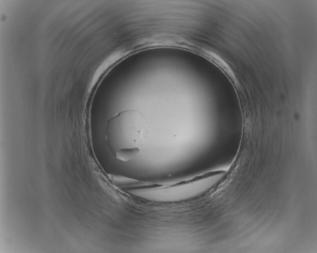 X0000073991146200609111527