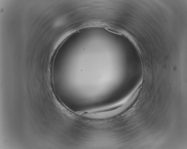 X0000073991147200609111527