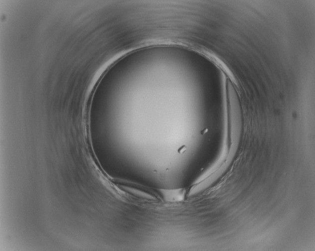 X0000073991148200609111527