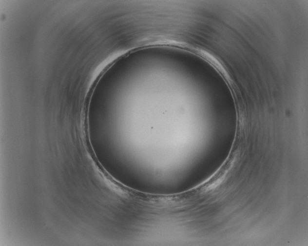 X0000073991149200609111527