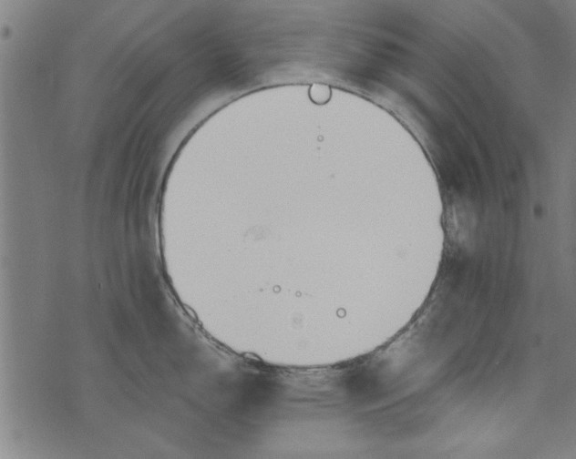 X0000073991150200609111527