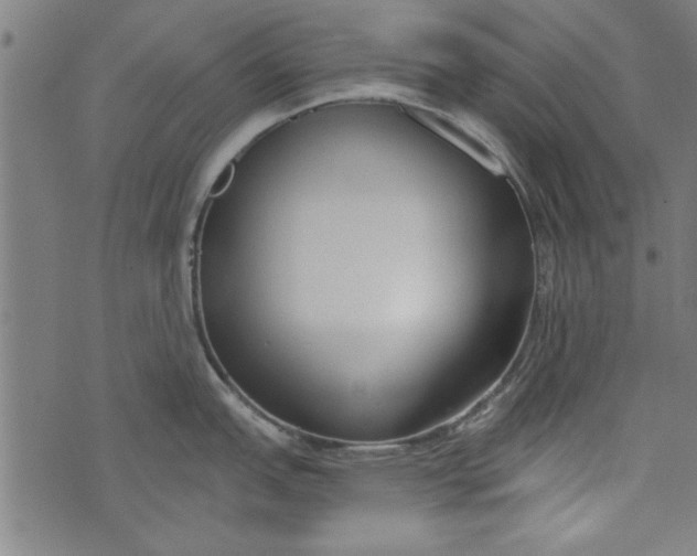 X0000073991151200609111527