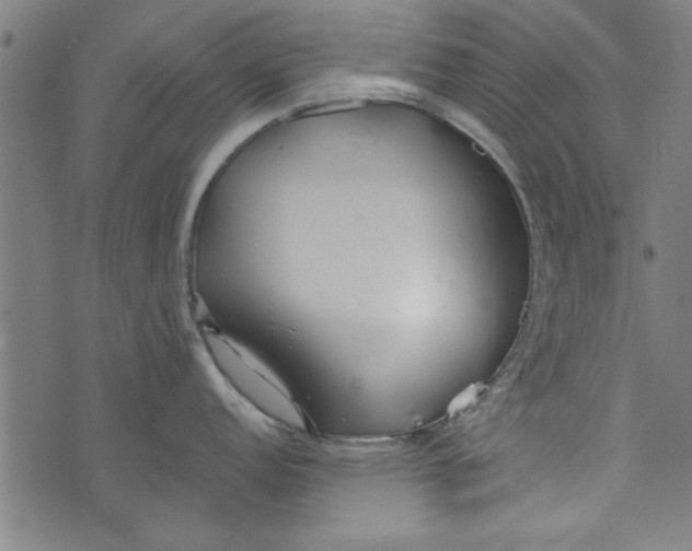 X0000073991152200609111527