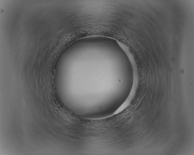 X0000073991153200609111526