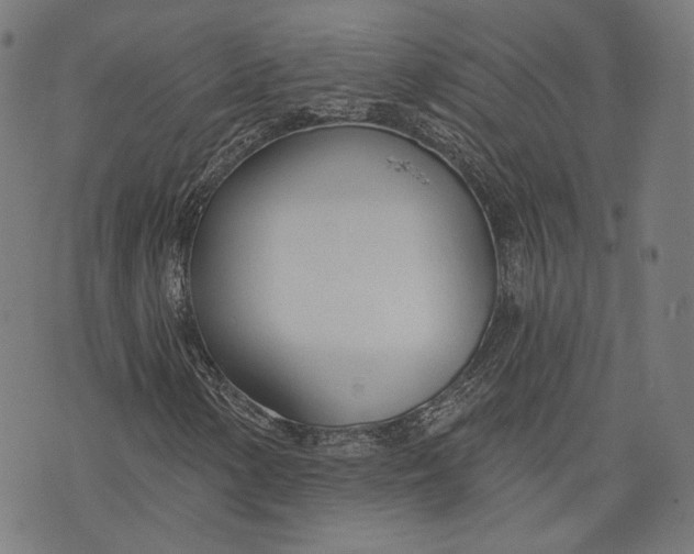 X0000073991154200609111526