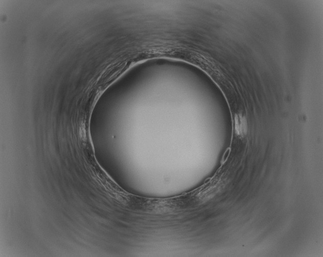 X0000073991155200609111526