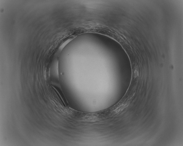 X0000073991156200609111526