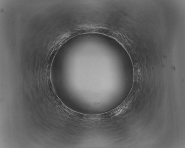 X0000073991157200609111526