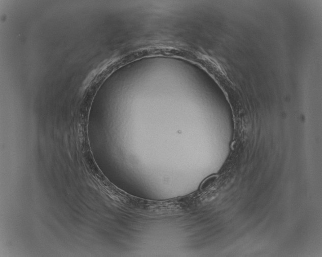 X0000073991159200609111526