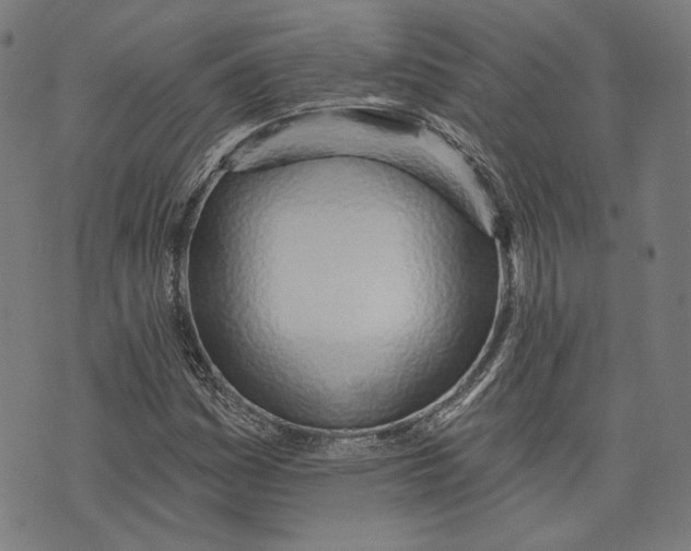 X0000073991161200609111526