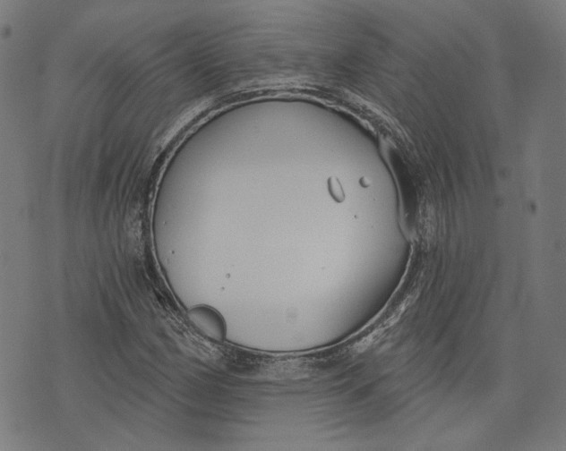 X0000073991162200609111526