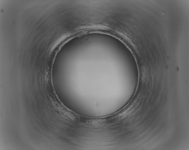 X0000073991163200609111526