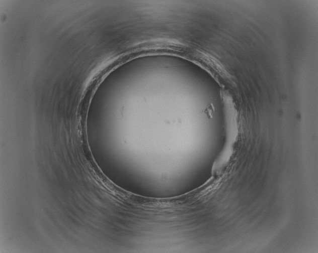 X0000073991164200609111526