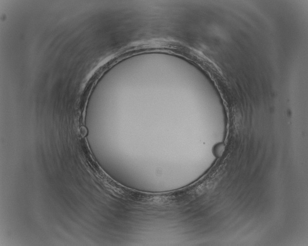 X0000073991166200609111526