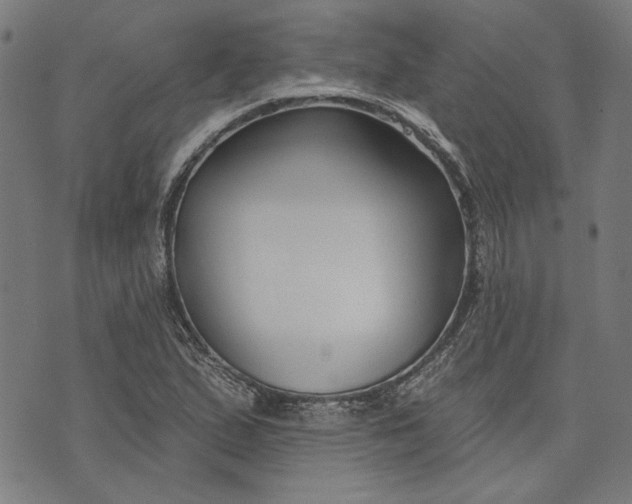 X0000073991167200609111526