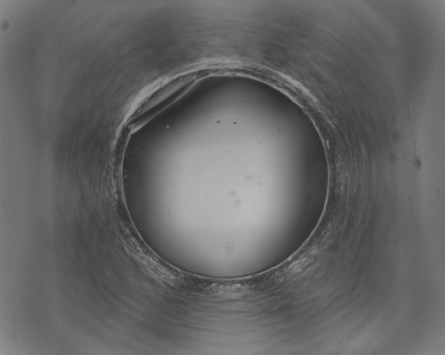 X0000073991168200609111526