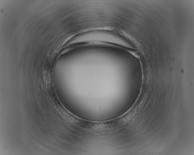 X0000073991169200609111526