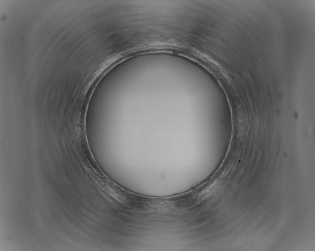 X0000073991170200609111526