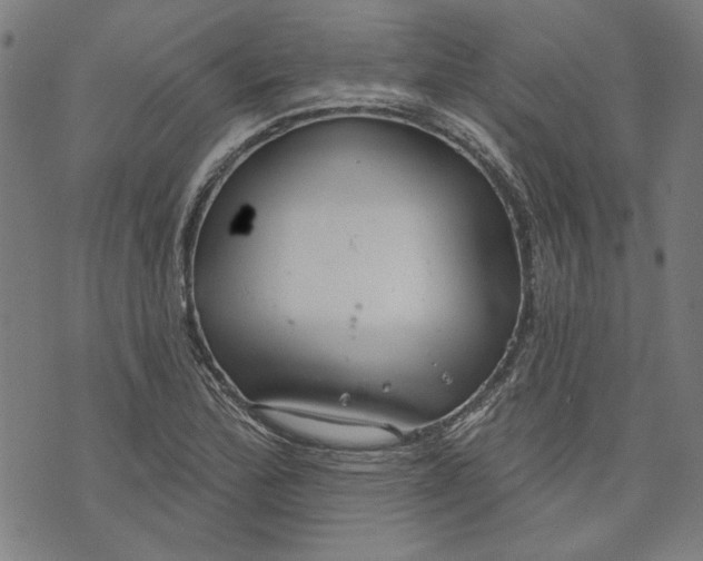 X0000073991172200609111526