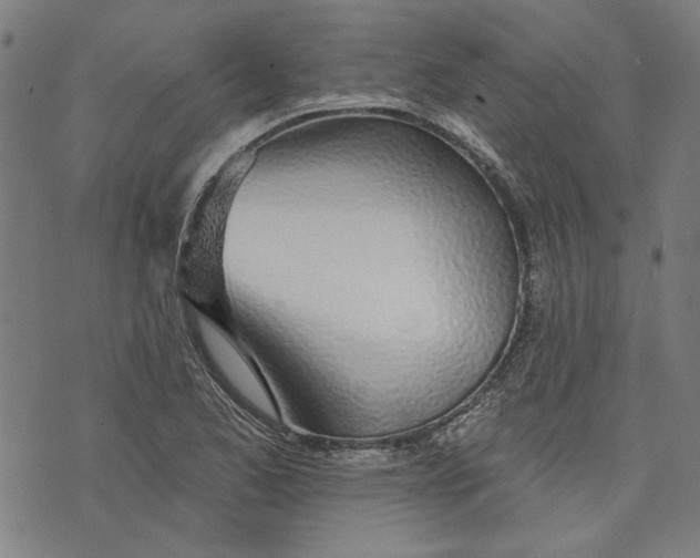 X0000073991173200609111526