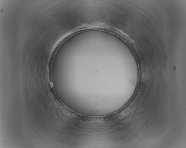 X0000073991174200609111526