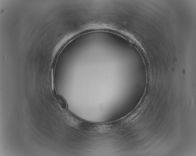 X0000073991175200609111526