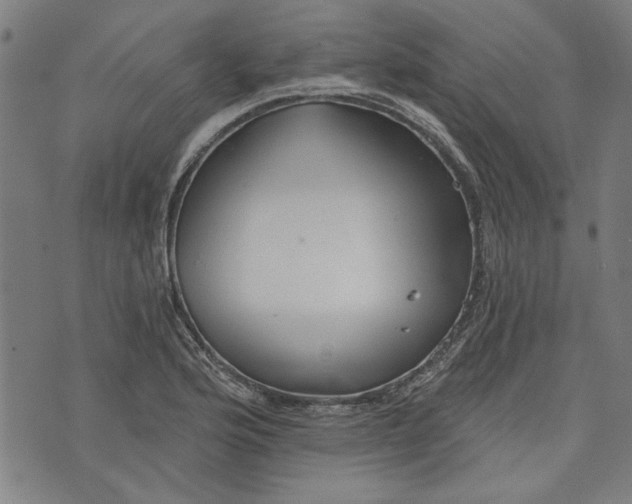 X0000073991176200609111525