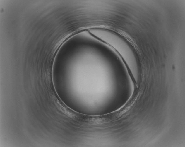 X0000073991177200609111525