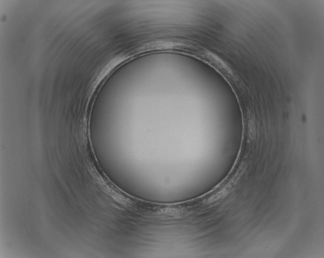 X0000073991178200609111525