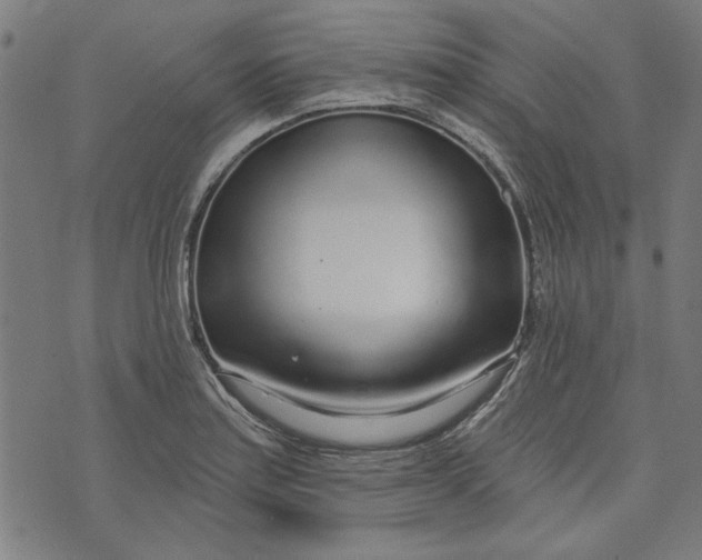 X0000073991179200609111525