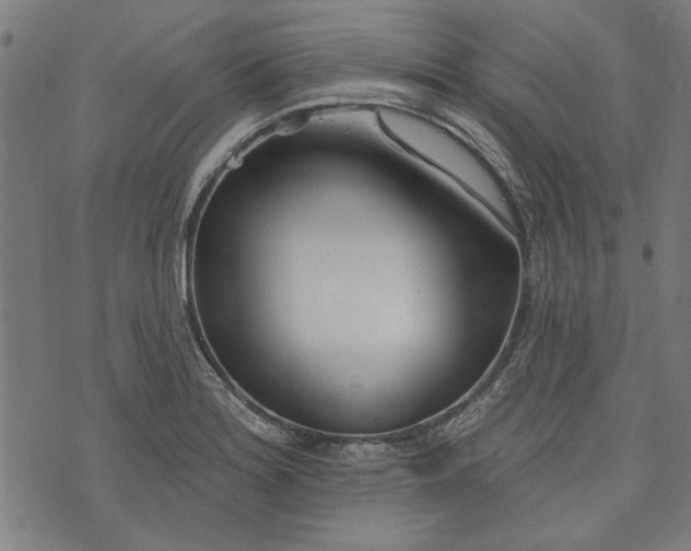 X0000073991180200609111525